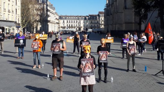 manifestation_mairie_bordeaux_animaux_cirques_triangle