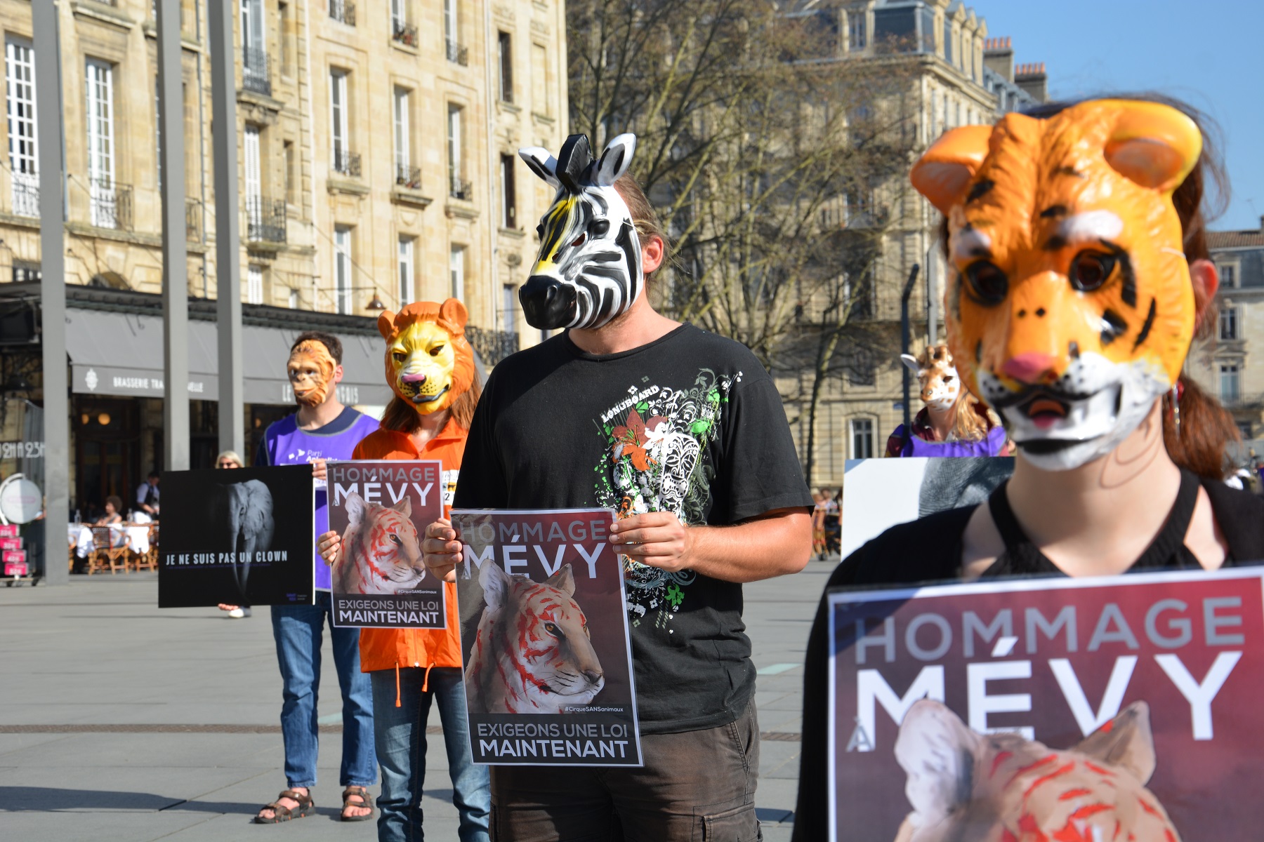 manifestation_mairie_bordeaux_animaux_cirques_triangle1