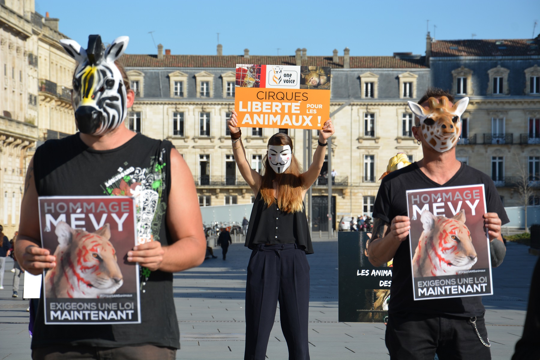 manifestation_mairie_bordeaux_animaux_cirques_triangle4
