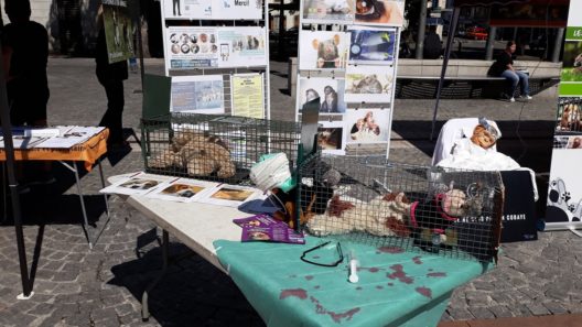 tarbes_experimentation_animale_2019_stand6
