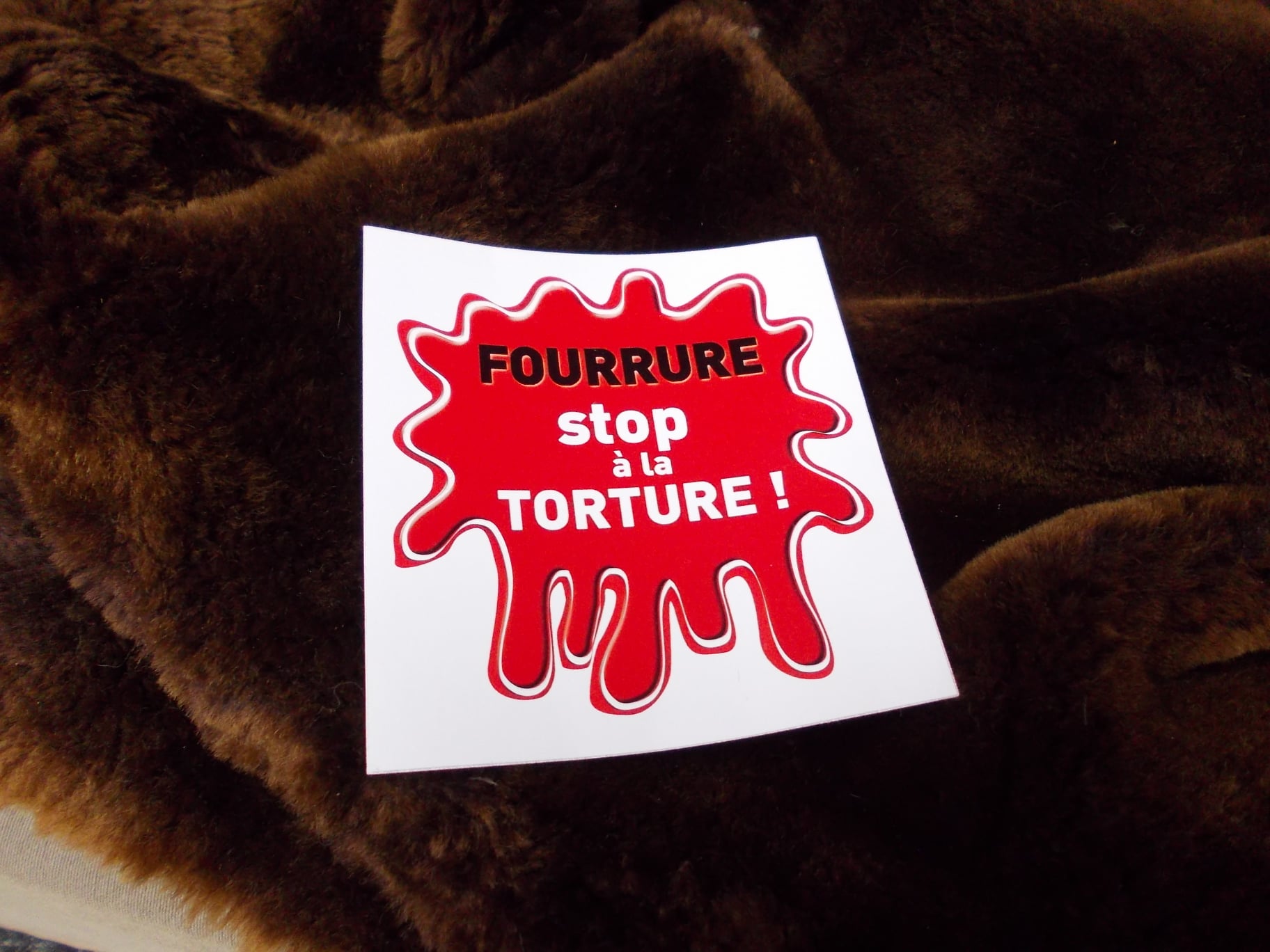parti_animaliste_fourrure_bordeaux_2019_fourrure2