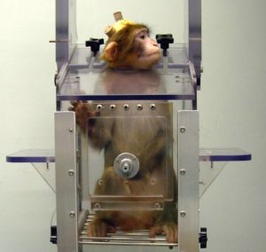 S’informer sur l’expérimentation animale (1/2)